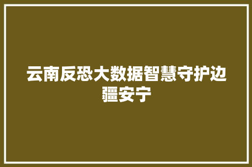 云南反恐大数据智慧守护边疆安宁  第1张