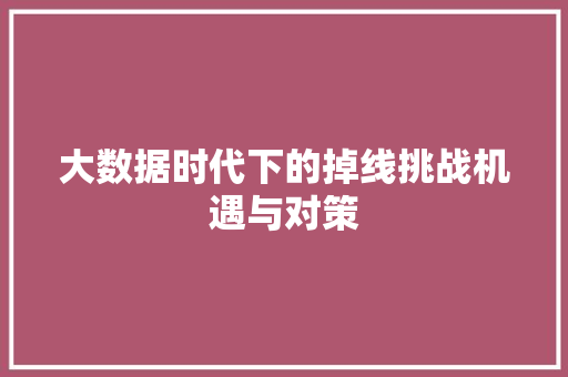 大数据时代下的掉线挑战机遇与对策  第1张
