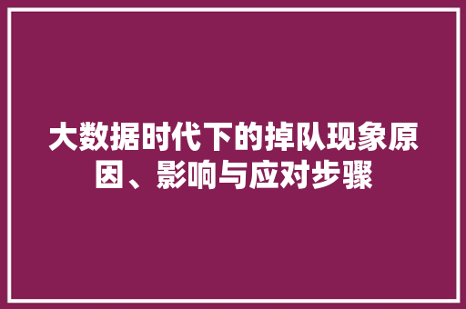 大数据时代下的掉队现象原因、影响与应对步骤  第1张