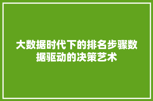大数据时代下的排名步骤数据驱动的决策艺术  第1张