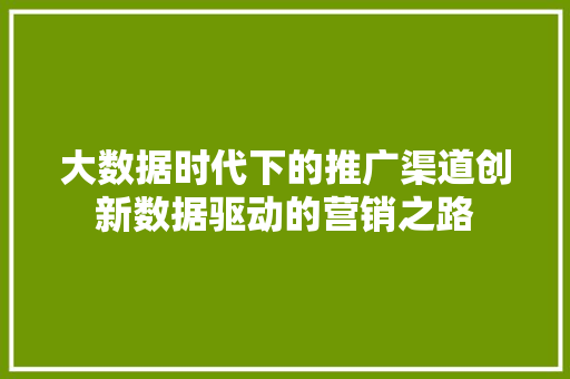 大数据时代下的推广渠道创新数据驱动的营销之路