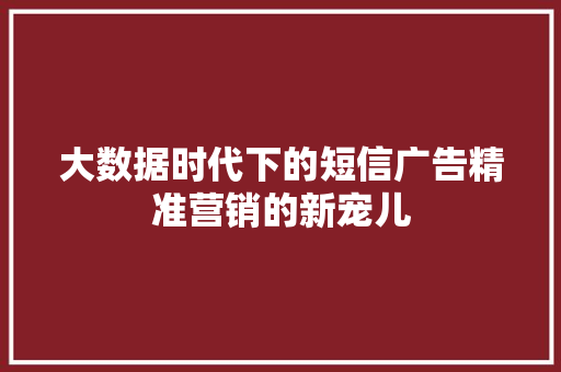 大数据时代下的短信广告精准营销的新宠儿  第1张