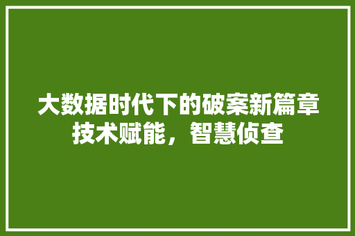 大数据时代下的破案新篇章技术赋能，智慧侦查  第1张