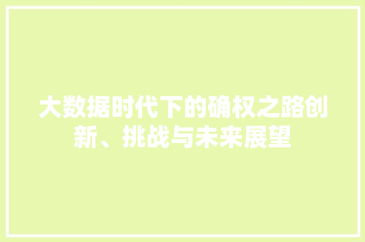 大数据时代下的确权之路创新、挑战与未来展望