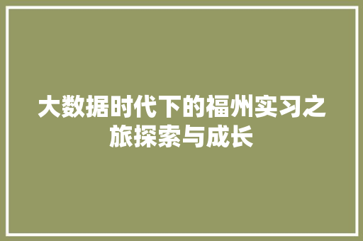 大数据时代下的福州实习之旅探索与成长  第1张