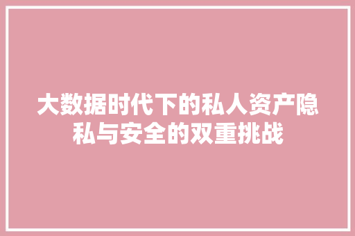 大数据时代下的私人资产隐私与安全的双重挑战  第1张