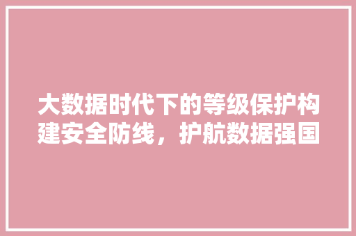大数据时代下的等级保护构建安全防线，护航数据强国  第1张