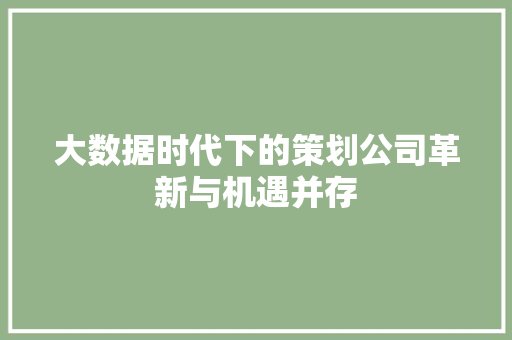 大数据时代下的策划公司革新与机遇并存