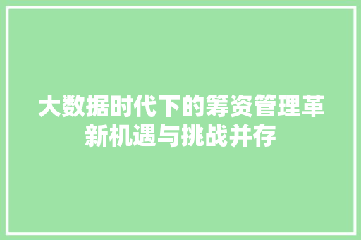 大数据时代下的筹资管理革新机遇与挑战并存