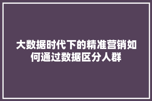 大数据时代下的精准营销如何通过数据区分人群
