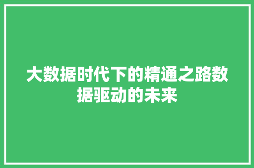 大数据时代下的精通之路数据驱动的未来