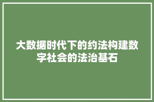 大数据时代下的约法构建数字社会的法治基石