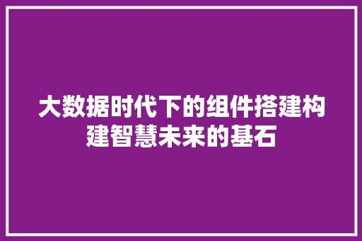 大数据时代下的组件搭建构建智慧未来的基石