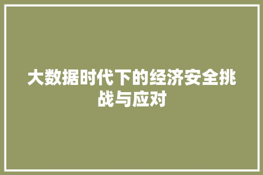 大数据时代下的经济安全挑战与应对