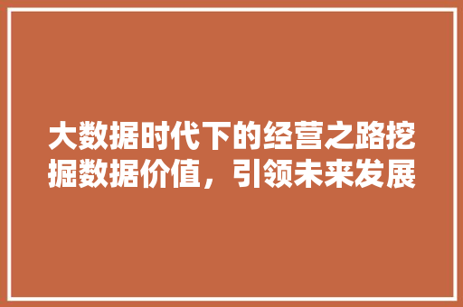 大数据时代下的经营之路挖掘数据价值，引领未来发展