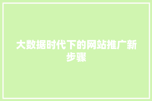 大数据时代下的网站推广新步骤