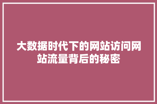 大数据时代下的网站访问网站流量背后的秘密  第1张