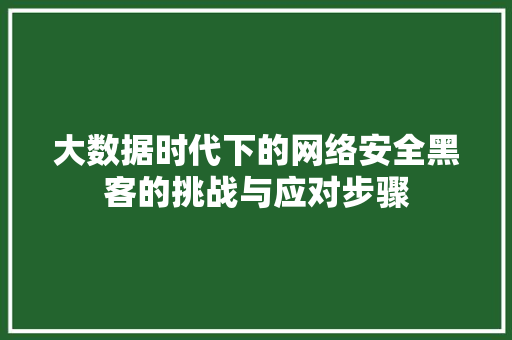 大数据时代下的网络安全黑客的挑战与应对步骤