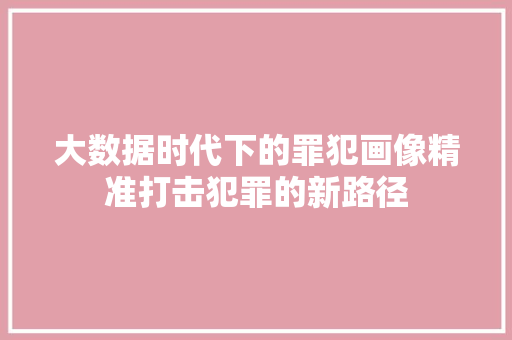 大数据时代下的罪犯画像精准打击犯罪的新路径  第1张