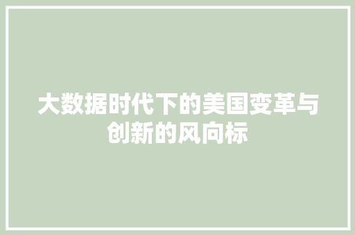 大数据时代下的美国变革与创新的风向标  第1张