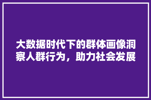 大数据时代下的群体画像洞察人群行为，助力社会发展