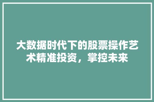 大数据时代下的股票操作艺术精准投资，掌控未来