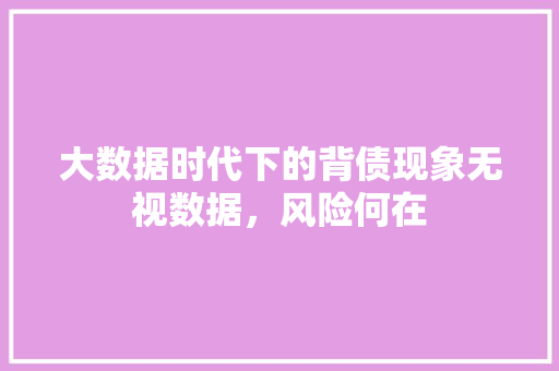 大数据时代下的背债现象无视数据，风险何在