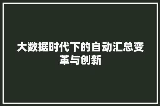大数据时代下的自动汇总变革与创新