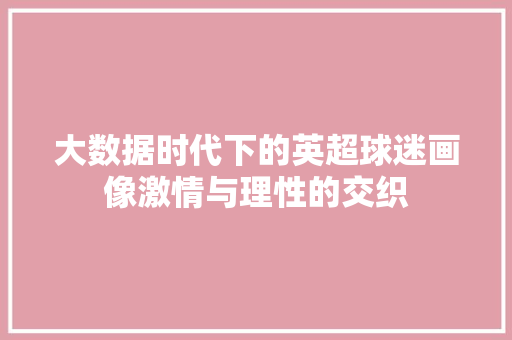 大数据时代下的英超球迷画像激情与理性的交织  第1张