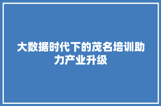 大数据时代下的茂名培训助力产业升级