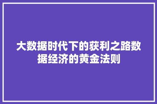 大数据时代下的获利之路数据经济的黄金法则