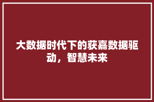 大数据时代下的获嘉数据驱动，智慧未来