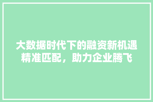 大数据时代下的融资新机遇精准匹配，助力企业腾飞