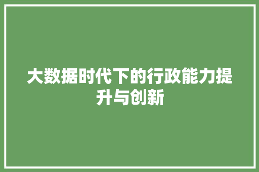 大数据时代下的行政能力提升与创新