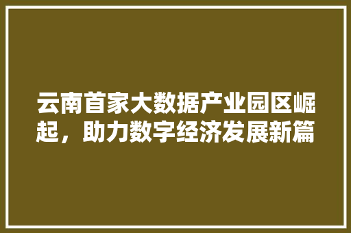 云南首家大数据产业园区崛起，助力数字经济发展新篇章