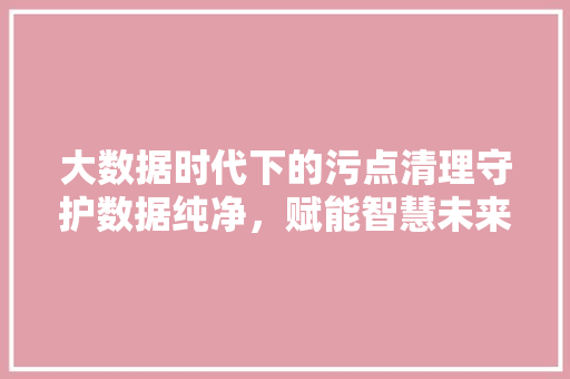 大数据时代下的污点清理守护数据纯净，赋能智慧未来  第1张
