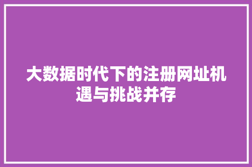 大数据时代下的注册网址机遇与挑战并存