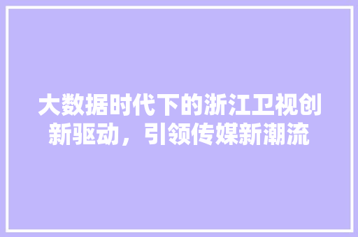 大数据时代下的浙江卫视创新驱动，引领传媒新潮流  第1张