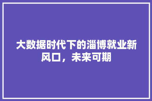 大数据时代下的淄博就业新风口，未来可期