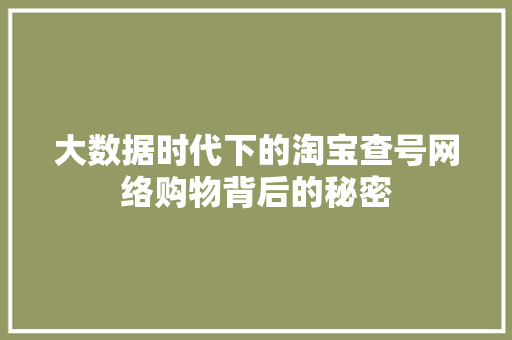 大数据时代下的淘宝查号网络购物背后的秘密  第1张