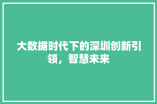 大数据时代下的深圳创新引领，智慧未来  第1张