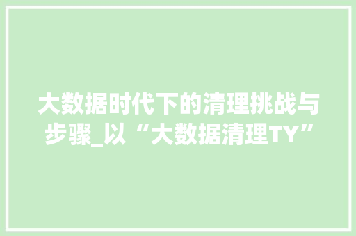大数据时代下的清理挑战与步骤_以“大数据清理TY”为例  第1张