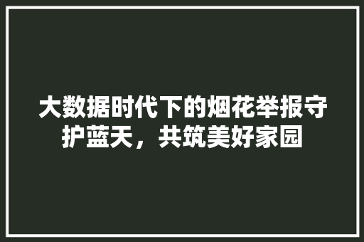 大数据时代下的烟花举报守护蓝天，共筑美好家园