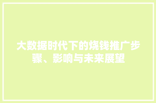 大数据时代下的烧钱推广步骤、影响与未来展望  第1张