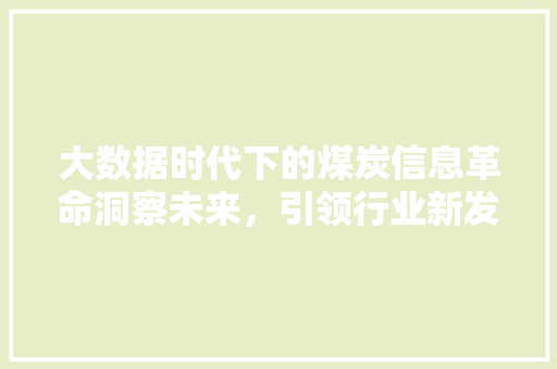 大数据时代下的煤炭信息革命洞察未来，引领行业新发展  第1张