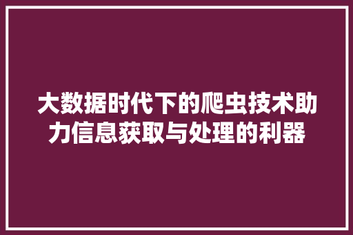 大数据时代下的爬虫技术助力信息获取与处理的利器