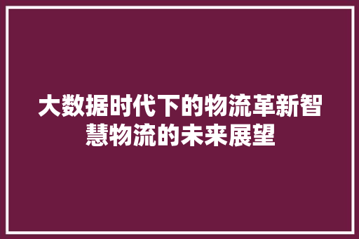 大数据时代下的物流革新智慧物流的未来展望  第1张