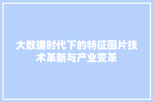 大数据时代下的特征图片技术革新与产业变革