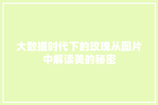 大数据时代下的玫瑰从图片中解读美的秘密