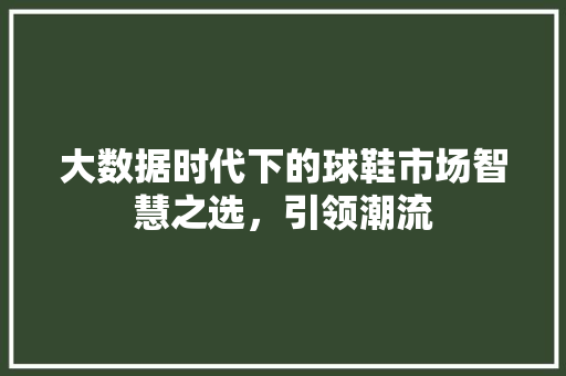 大数据时代下的球鞋市场智慧之选，引领潮流